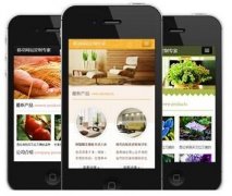 手機(jī)網(wǎng)站怎樣做才更有效果？如何做優(yōu)化？