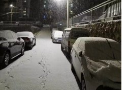 青島！大雪！大愛！