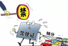 青島的朋友們注意啦，9月起禁止使用他人駕照銷