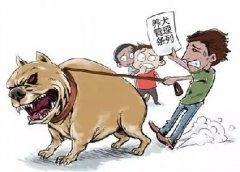 青島10月份一大波勁爆消息，你知道嗎？