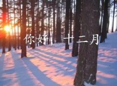 抓住2016年的尾巴給自己充充電！12月，加油！